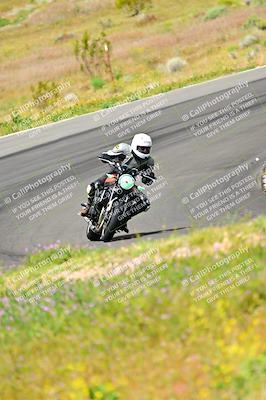 media/Apr-13-2024-Classic Track Day (Sat) [[9dd147332a]]/Group 3/Session 2 (Turns 5 and 6)/